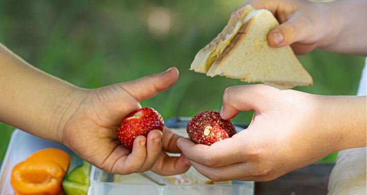 V popředí s rozmazaným pozadím jsou dvě ruce, jedna drží sendvič a druhá jahodu.