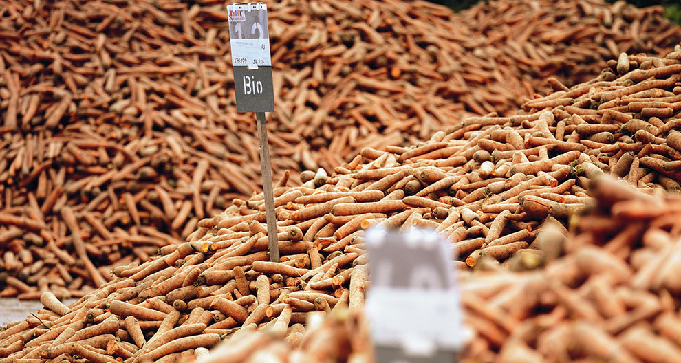 A pile of carrots with a sign reading 'Bio' in the foreground.