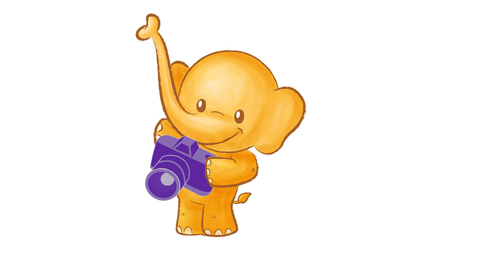 An elephant holding a camera.