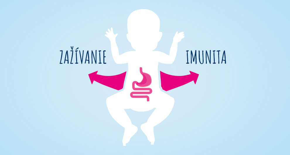 Silueta ľudskej postavy so zameraním na tráviacu sústavu, sprevádzaná dvoma šípkami ukazujúcimi na slová "ZAZIVANIE" a "IMUNITA".