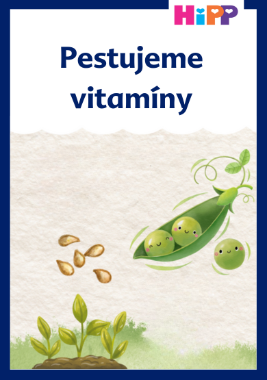 Sekvencia rastu hrachu od semien, cez klíčenie až po dozrievanie struku.