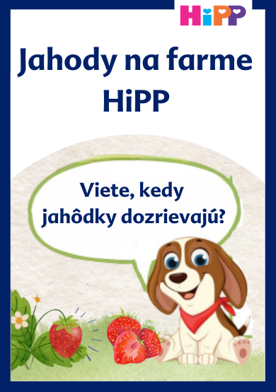 Pes v červenej šatke sedí na tráve s jahodami vedľa rastliny s kvetom a jahodou.